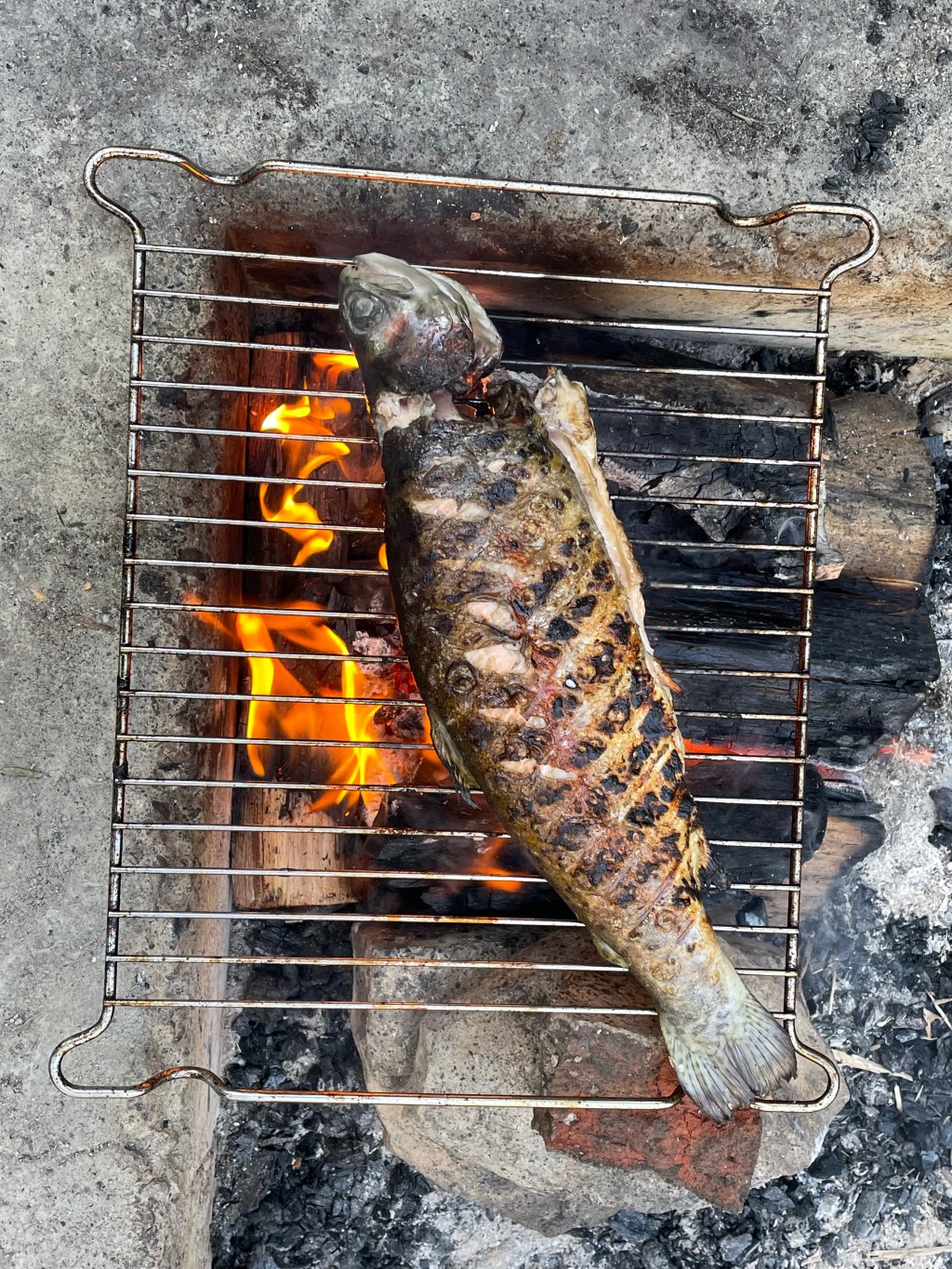 Minimalist camper! Joy of having&nbsp;little.